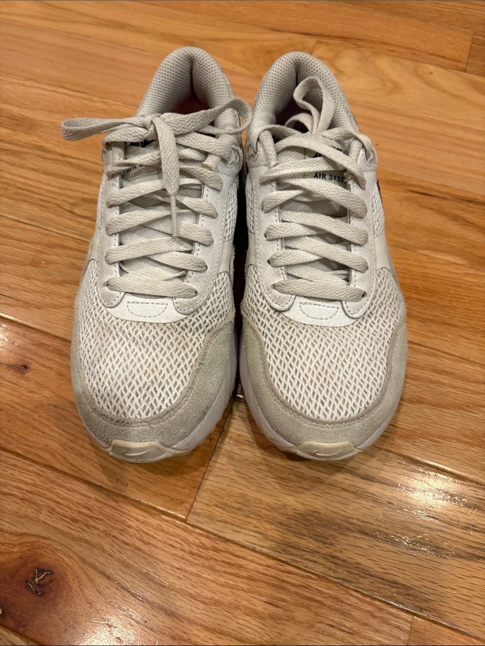 Nike Air Max Beige and Black Casual Sneakers